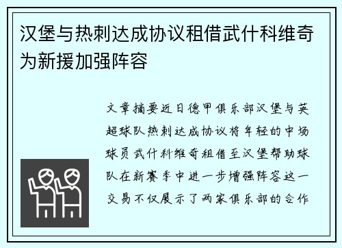汉堡与热刺达成协议租借武什科维奇为新援加强阵容